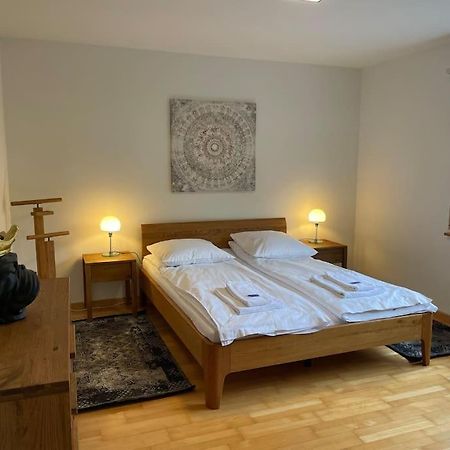 Cozy, Sunny, City Center 1 Bedroom Flat Zürich Eksteriør billede