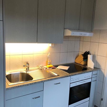 Cozy, Sunny, City Center 1 Bedroom Flat Zürich Eksteriør billede