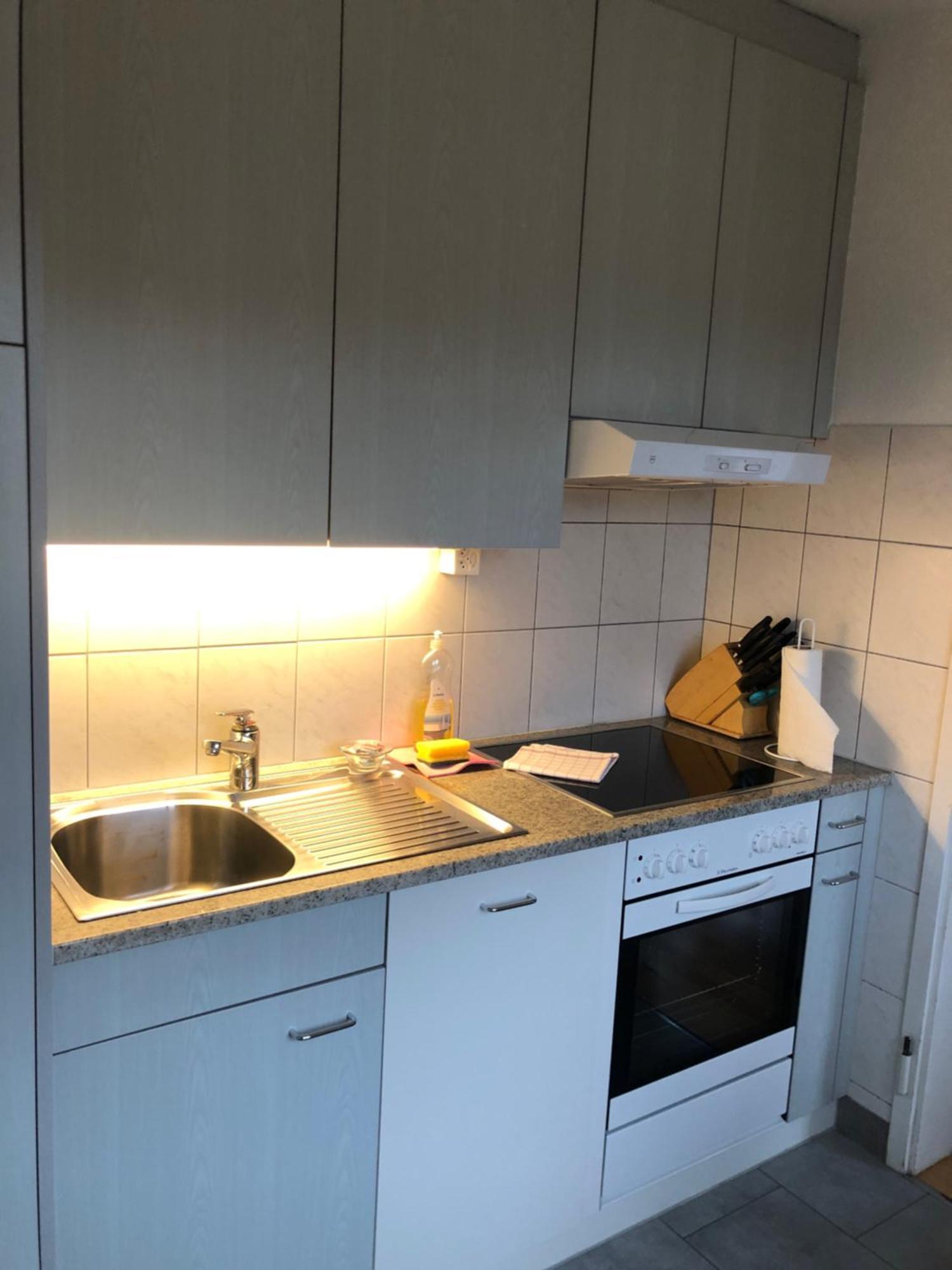 Cozy, Sunny, City Center 1 Bedroom Flat Zürich Eksteriør billede